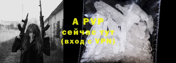 ГАЛЛЮЦИНОГЕННЫЕ ГРИБЫ Каменка