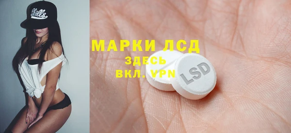 ГАЛЛЮЦИНОГЕННЫЕ ГРИБЫ Каменка