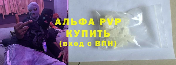 ГАЛЛЮЦИНОГЕННЫЕ ГРИБЫ Каменка