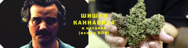метадон Каменногорск