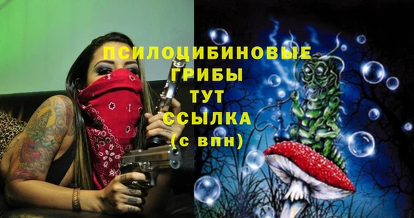 метадон Каменногорск