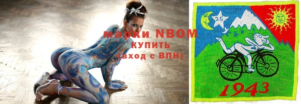 стаф Щигры