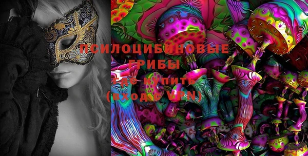 соль ск Каменск-Шахтинский
