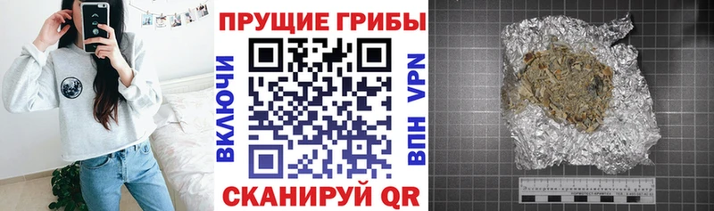 блэк спрут вход  наркотики  Ильский  Галлюциногенные грибы Cubensis 